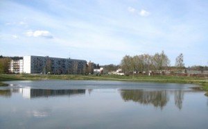 IMG_0345
