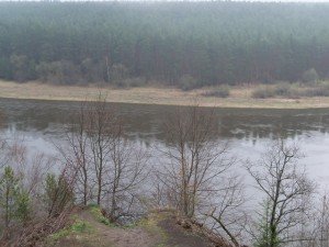 102_9376a