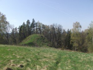 DSCF24940