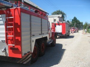 IMG_00310