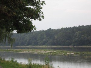 IMG_0614