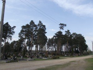 DSCF0457a
