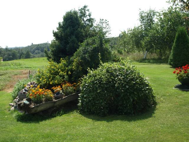 P7303097