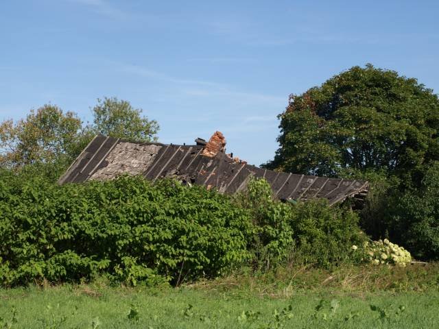 P8063220