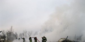 IMG_3257