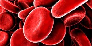 blood-cells