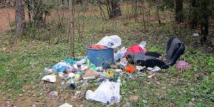 IMG_7646