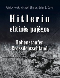 Elitines pajegos_CO
