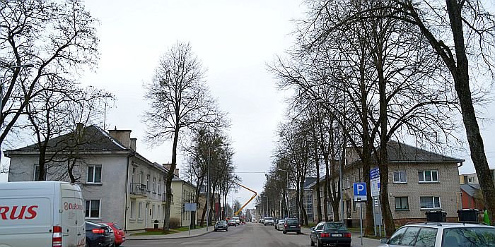DSC_7192