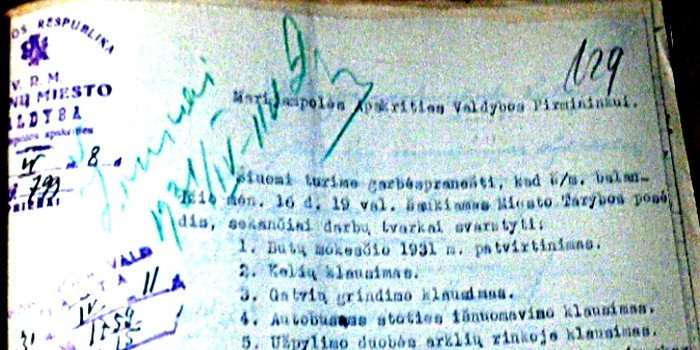 P. Salciaus veikla
