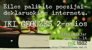 vmi_deklaravimas