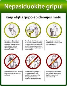 gripo profilaktika