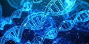 dna-3539309_1280
