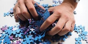 puzzle_crisis_politics