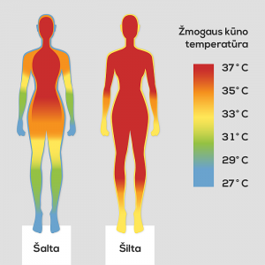 UT grafikas_Kaip organizmas reaguoja į temperaturos pokyčius