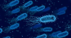 bacteria-3662695_960_720