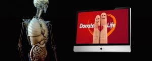 organ-donation-4301529_960_720