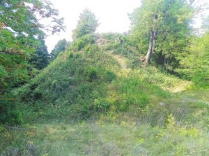 IMG_20190825_150445