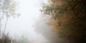 fog-510670_1280