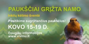 Pauksciai-grizta-namo