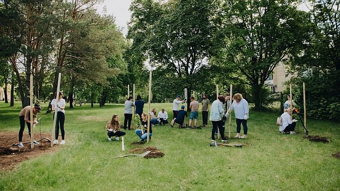 Sodo sodinimas Antavilių pensonate1 (2)