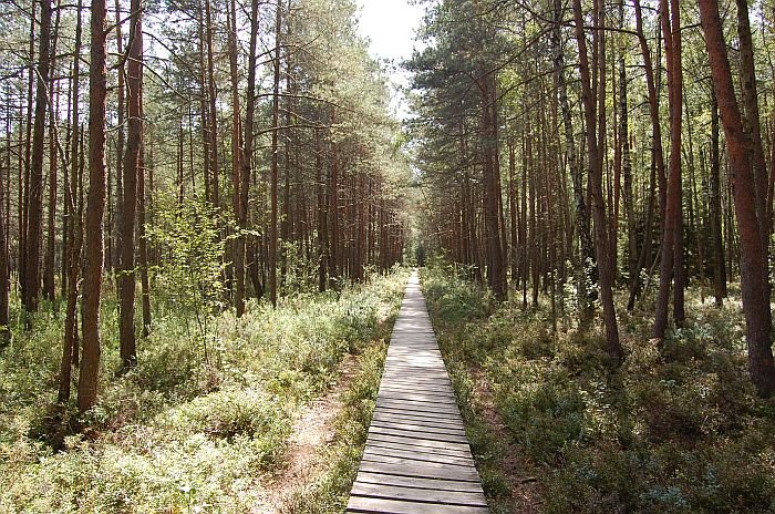 Varniku-takas