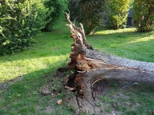 overturned-2260715_960_720