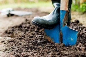Worker,Digs,The,Black,Soil,With,Shovel,In,The,Vegetable