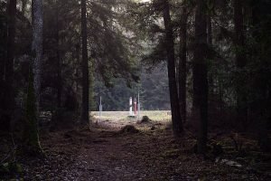 2021 11 12_aut. M. Lysenko (6)