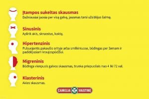 Camelia_galvosskausmas_01