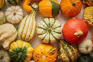 Colorful various kinds mini pumpkins on white background, top view, flat lay. Fall background