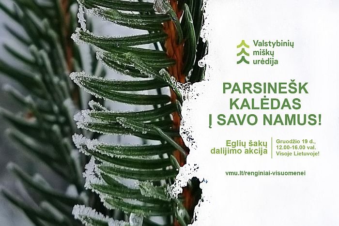 Parsinešk Kalėdas į savo namus_pagrindinis vizualas