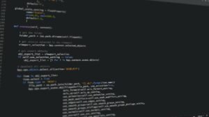 Kodėl Python programavimo kalba tokia populiari