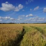 Žemės ūkio naudmenų deklaravimas 2026 m.: kas naujo?