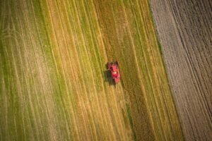 1663575-961751-1287x836