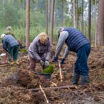 Tęsiame miškasodžio tradiciją