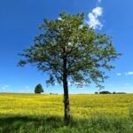 Baigėsi žemės ūkio naudmenų deklaravimas: pirmieji rezultatai